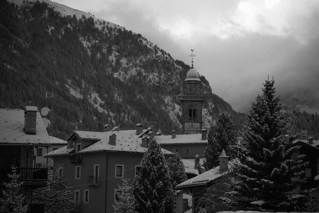 Hibou - 2* Cogne