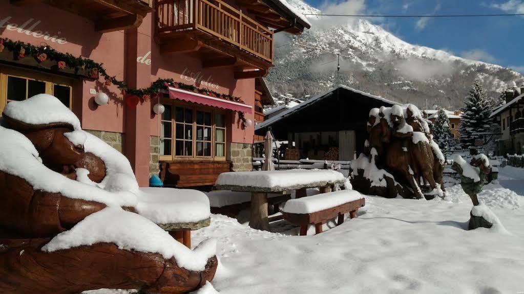 Bed and breakfast Hibou -