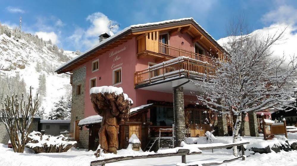 Bed and breakfast Hibou - 2*